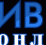 Ивня онлайн - Сетевое издание Ивня онлайн