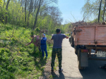 Специалисты Центра приняли участие в экологическом субботнике