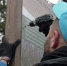 Более 400 белгородцев трудоустроились на оплачиваемые общественные работы с начала 2025 года - Сетевое издание Ивня онлайн
