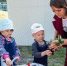 В детских садах Белгородской области появятся учебные теплицы «Ростки заботы» - Сетевое издание Ивня онлайн
