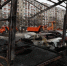 В три раза выросло количество обстрелов Белгородской области из РСЗО - Сетевое издание Ивня онлайн